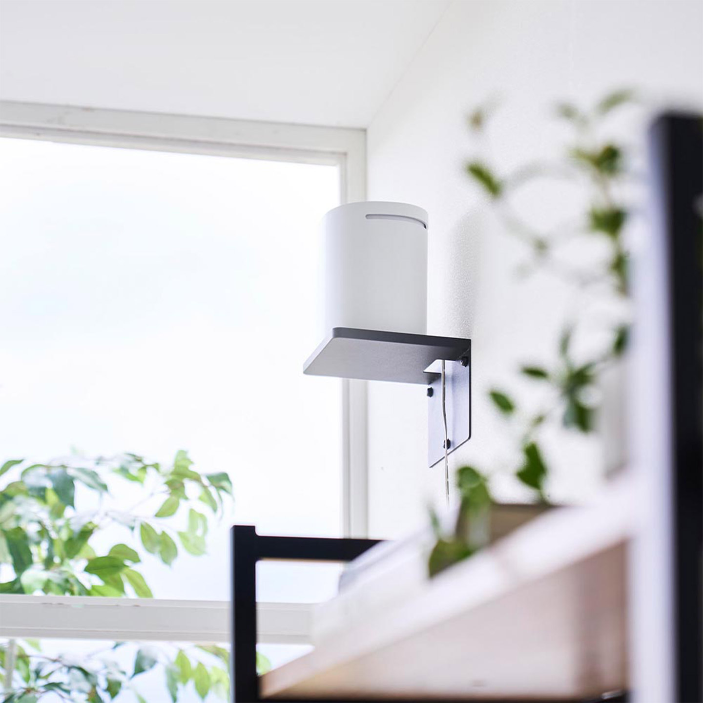 ピーターラビットのタイル埋込みラック12枚プレート付 一般家庭の石膏ボード取付可 ピーターラビットのタイル埋込みラック12枚プレート付 一般家庭