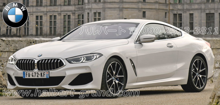 最新人気 BMW 8シリーズクーペ G15 F92 Eibach製ダウンサス ienomat.com.br