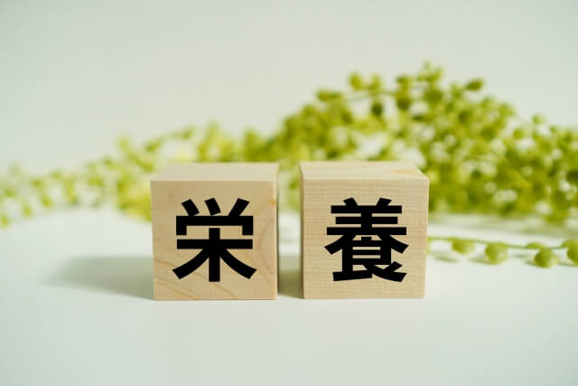 栄養を示す積み木と緑の葉