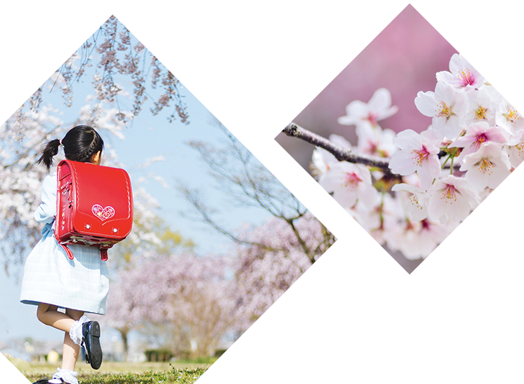 限定企画 天然とらふぐ付き限定セット春のとらふぐフェア とらふぐ専門店玄品