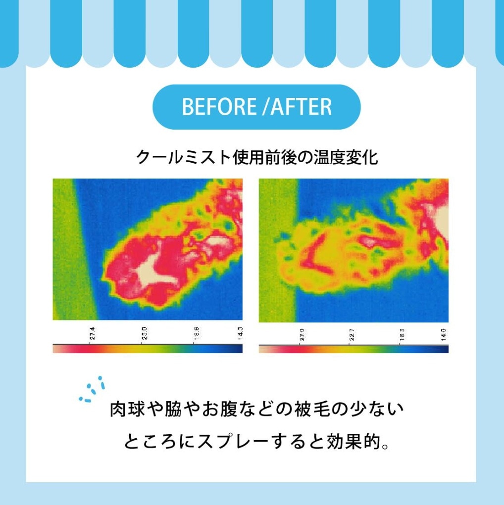 クールミスト使用前後の体温変化のサーモグラフィ画像。使用後の方が体温が下がっている。