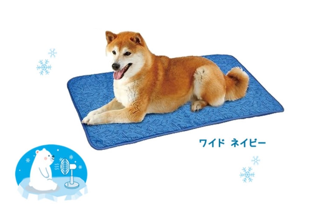 ネイビーの地に白くまがプリントされているマットの上に柴犬がダウンしている。