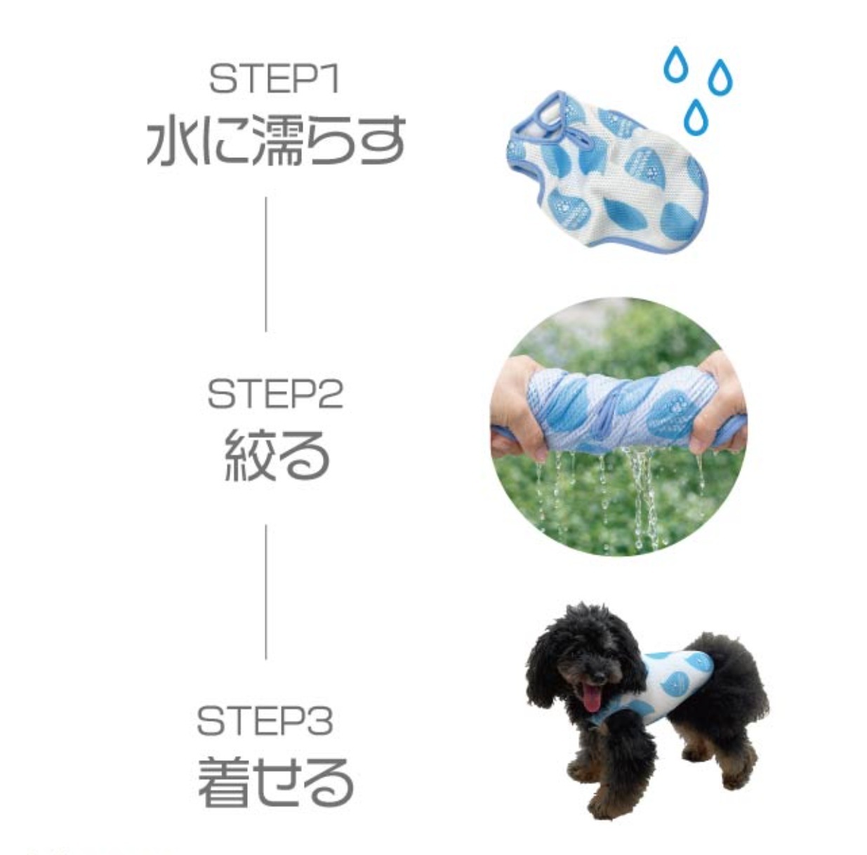 ステップ１、水に濡らす。ステップ２、絞る。ステップ3、着せる。