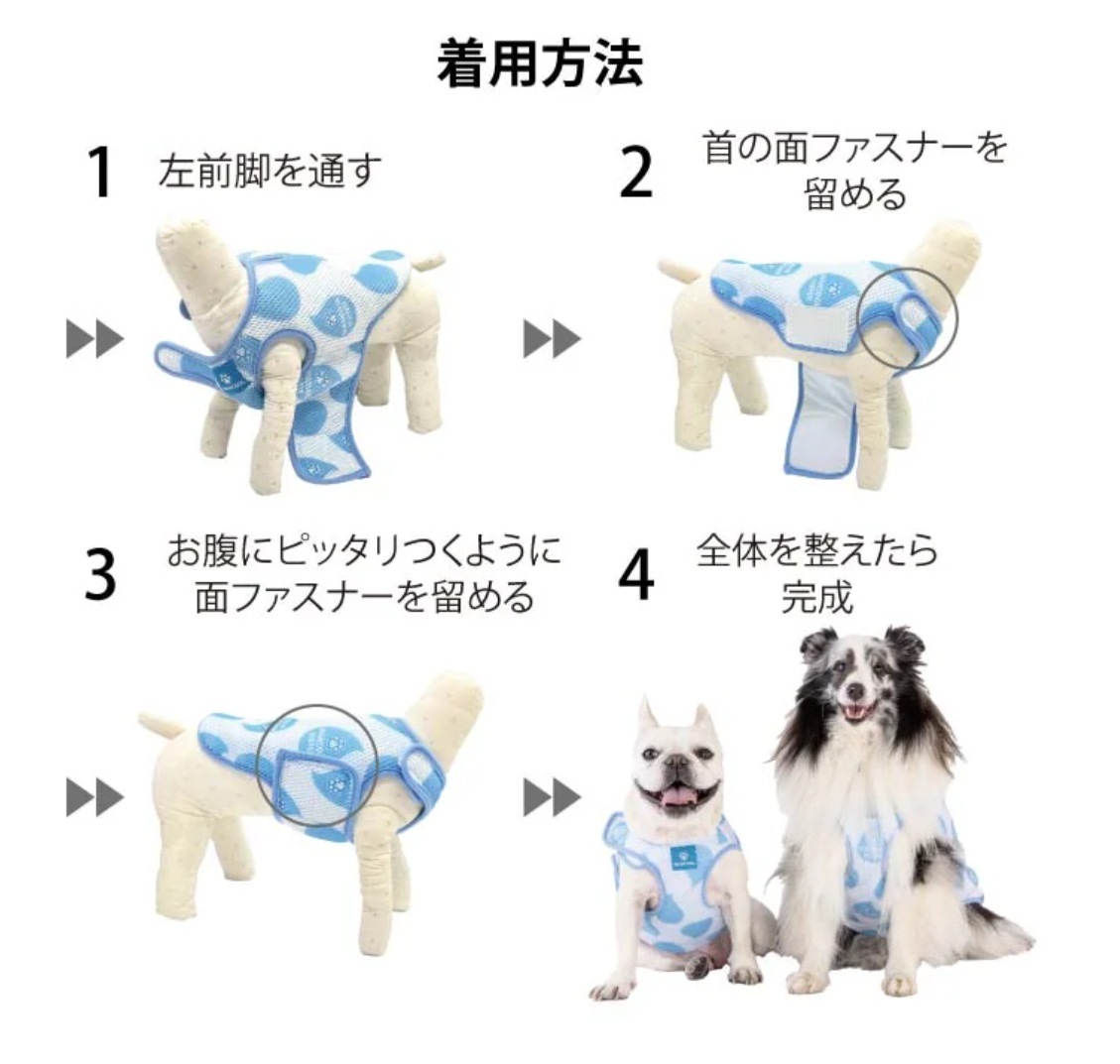 着用方法。１、左前脚を通す。２、首の面ファスナーを留める。３、お腹にピッタリつくように留める。４、全体を整えて完成。