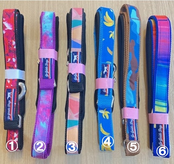 ポケット付きリードの画像