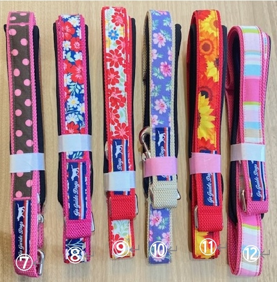 ポケット付きリードの画像