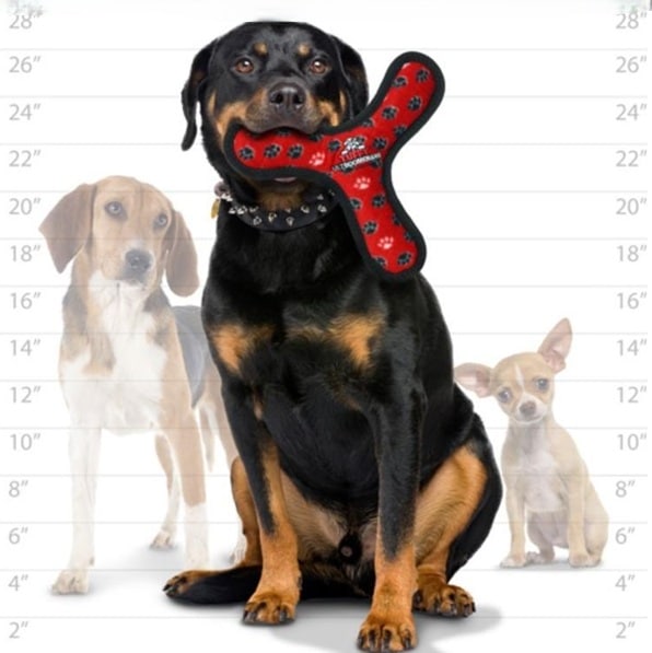 壊れにくい最強のおもちゃ】タフィ