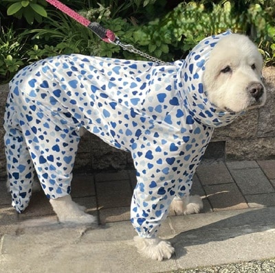 白地にいろいろな大きさの赤とピンク系のハートがランダムに散りばめられた柄