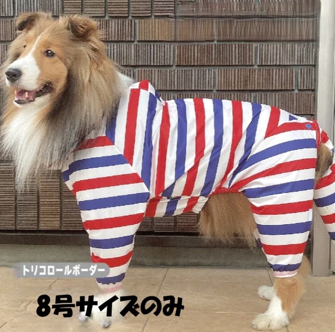 白と赤とネイビーのボーダー柄