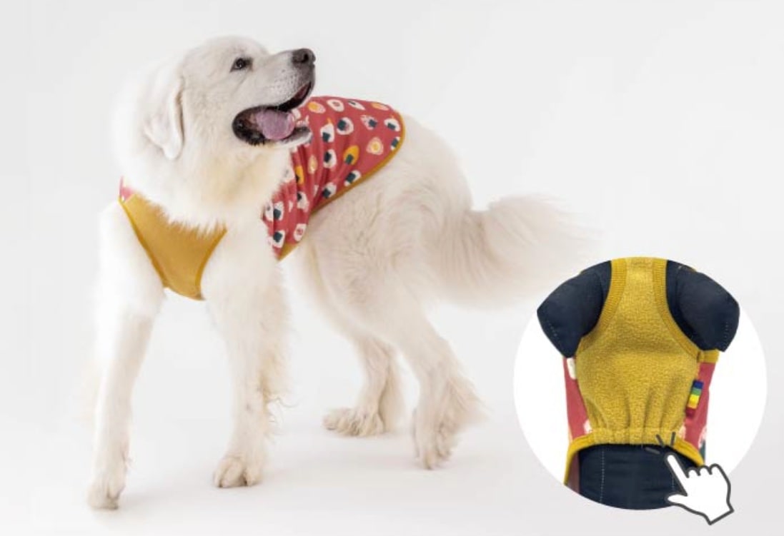 お腹のゴムの画像