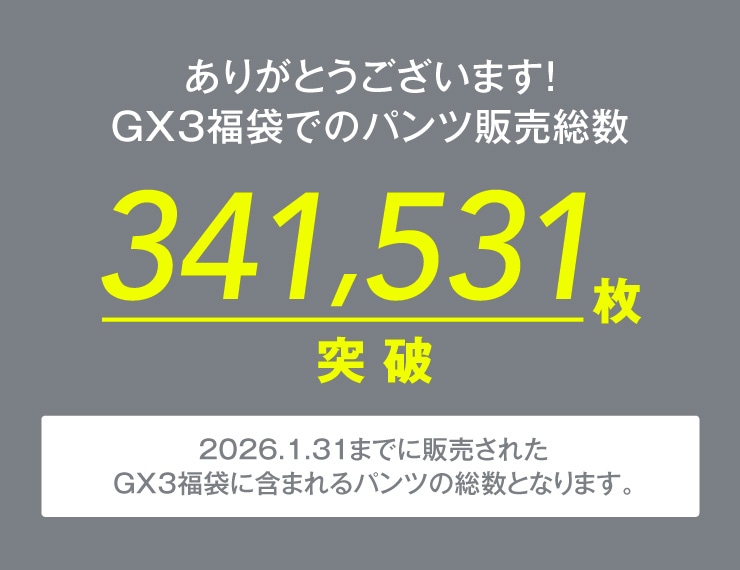 GX3ʡ��