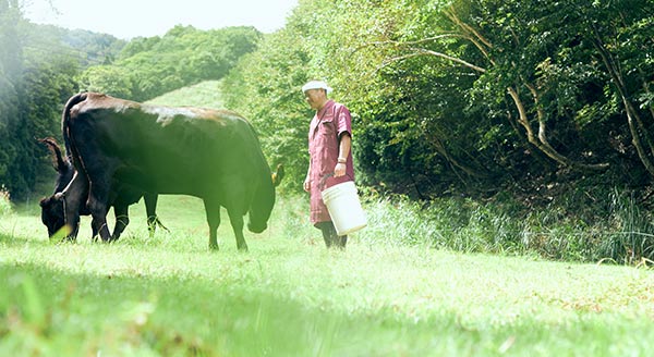 但馬玄/但馬牛 牛匠 上田 | 但馬玄（たじまぐろ）とは？