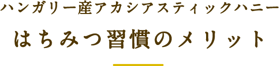 ハンガリー産アカシアスティックハニー はちみつ習慣のメリット