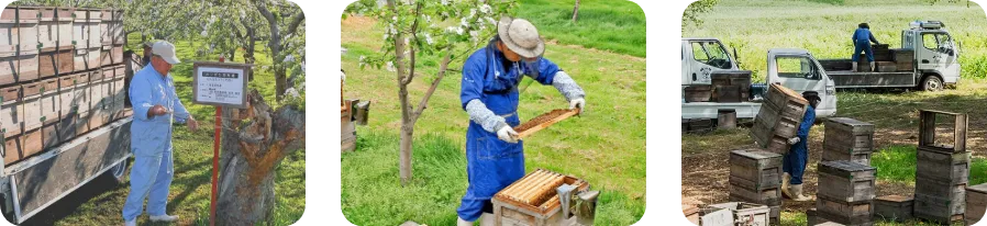 選ばれ続ける理由
