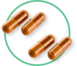 お召し上がり方