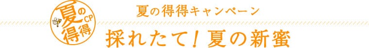 採れたて！夏の新蜜
