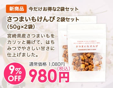 さつまいもけんぴ2袋セット（50g×2袋）
