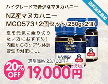 NZ産マヌカハニーMGO573＋2個セット（250g×2個）