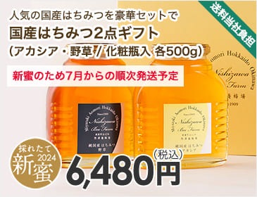 国産はちみつ2点ギフト（アカシア・野草 / 化粧瓶入 各500g）