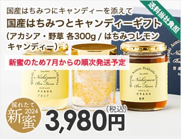 国産はちみつとキャンディーギフト（アカシア・野草 各300g / はちみつレモンキャンディー）