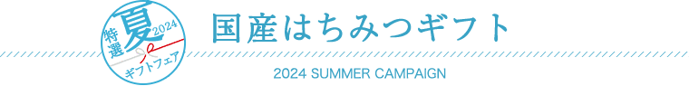 国産はちみつギフト