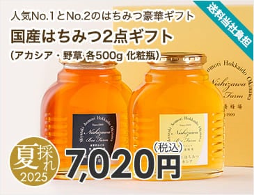 国産はちみつ2点ギフト（アカシア・野草 各500g 化粧瓶）