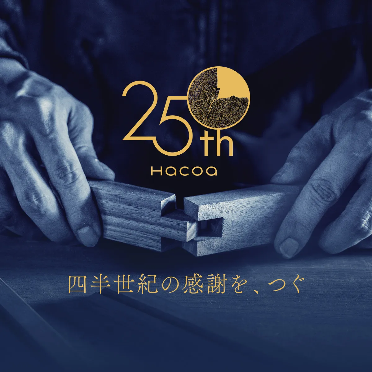 【Hacoaブランド創立25周年】特設サイト