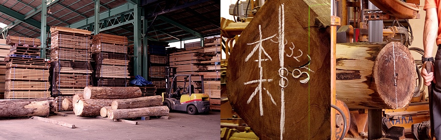 製材所の広い敷地には、ウォールナット以外にもたくさんの木材が保管