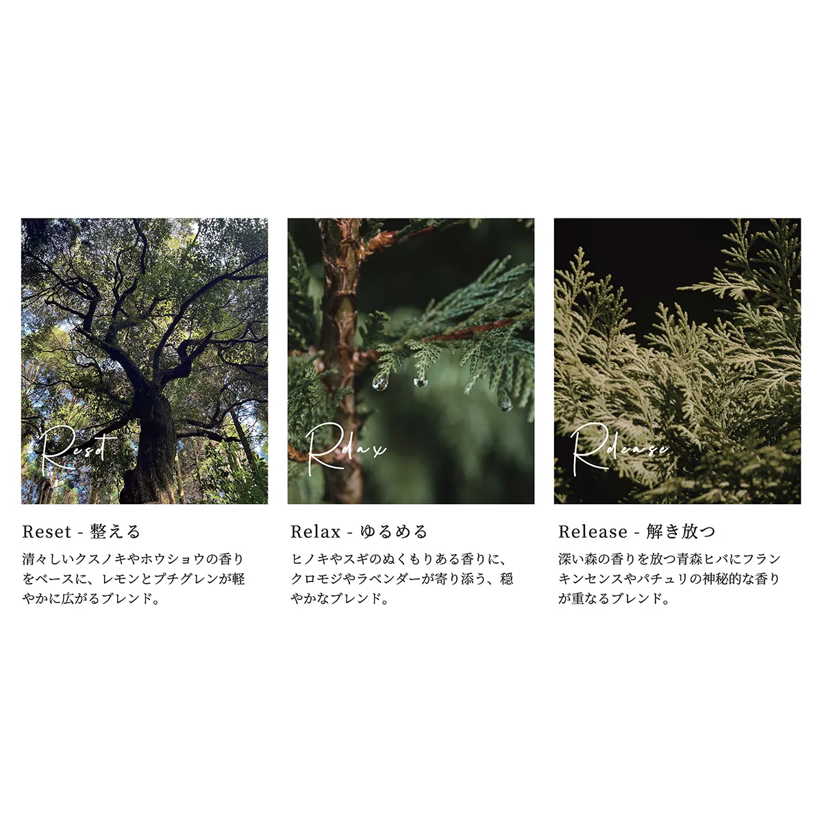 クスノキやヒノキ、クロモジ、ホウショウなど、心を整える香りを厳選し、自然の中で深呼吸するような神秘的で力強いブレンドに仕上げました