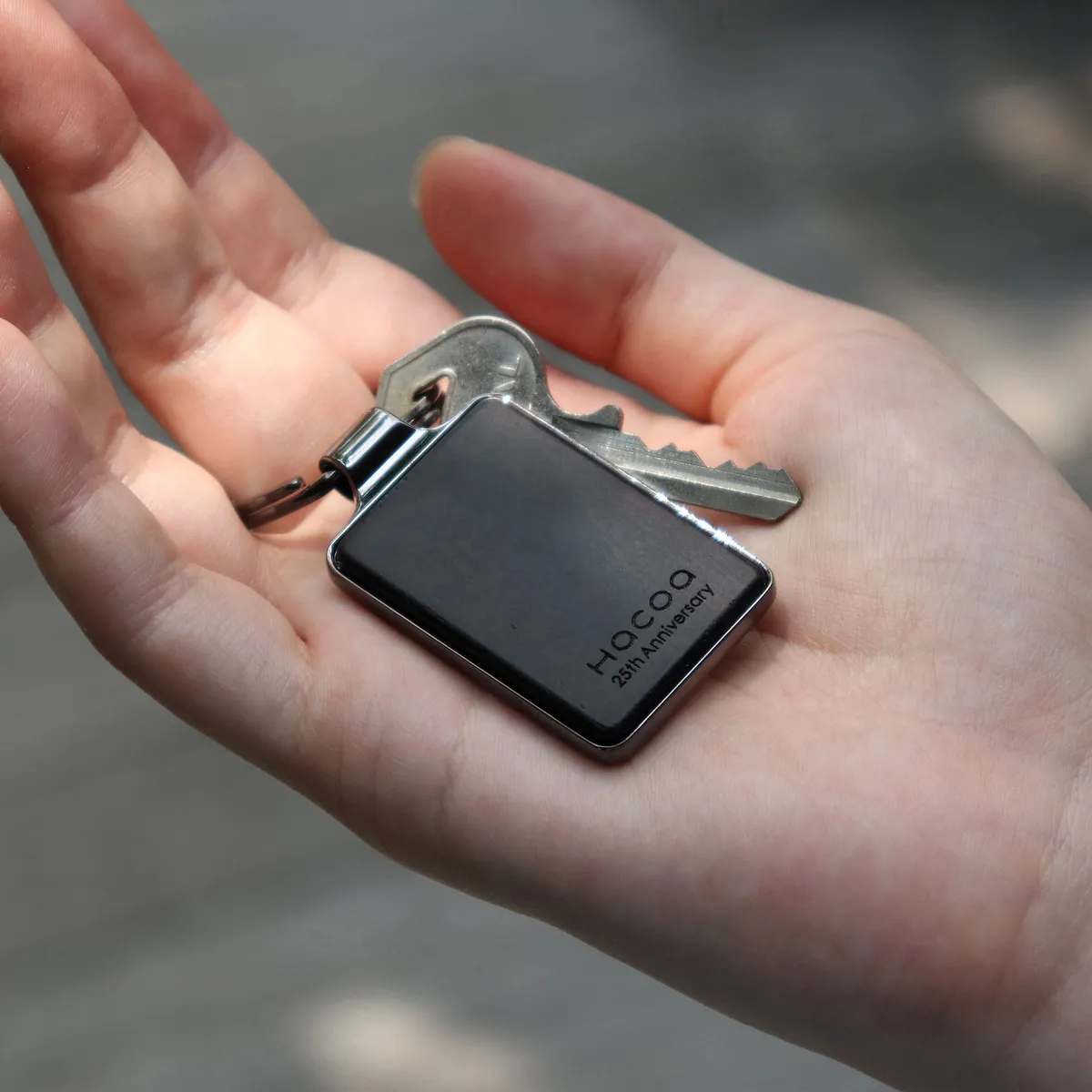 数量限定】「KEYRING 001（パロサント・シャムガキ）」木製