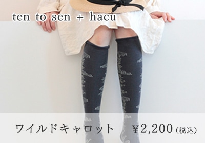ten to sen + hacu ワイルドキャロット ￥2,200（税込）
