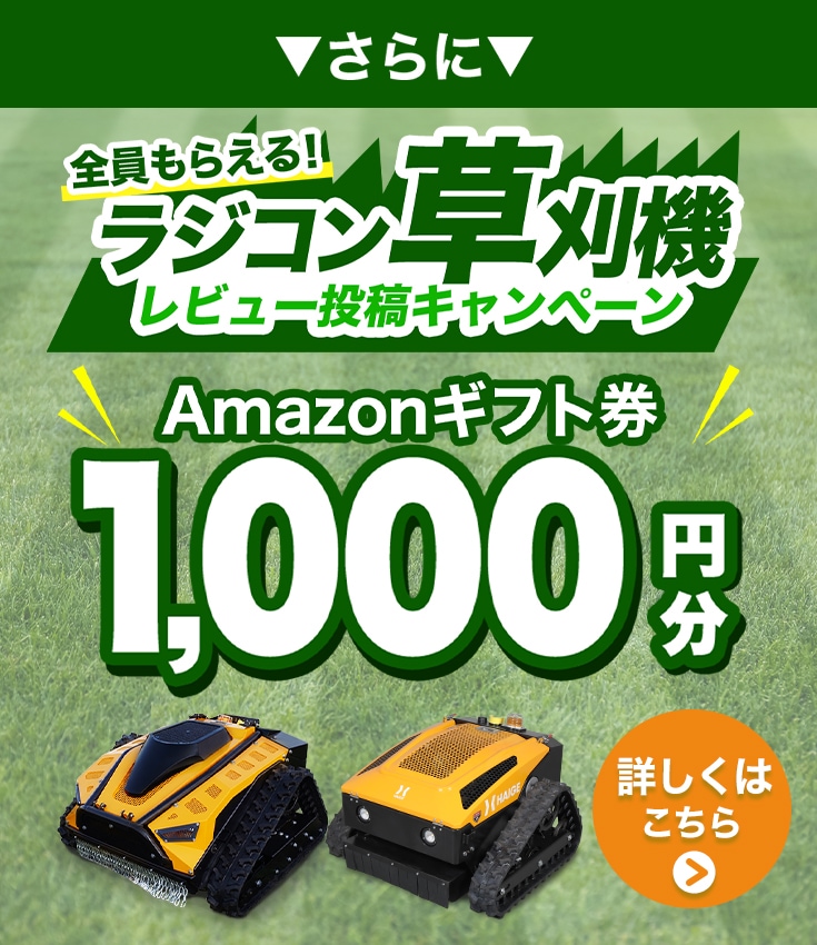 （レビュー投稿キャンペーン