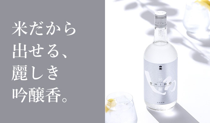 全商品オープニング価格特別価格】 吟麗しろ 6 銀しろ 25度 12本