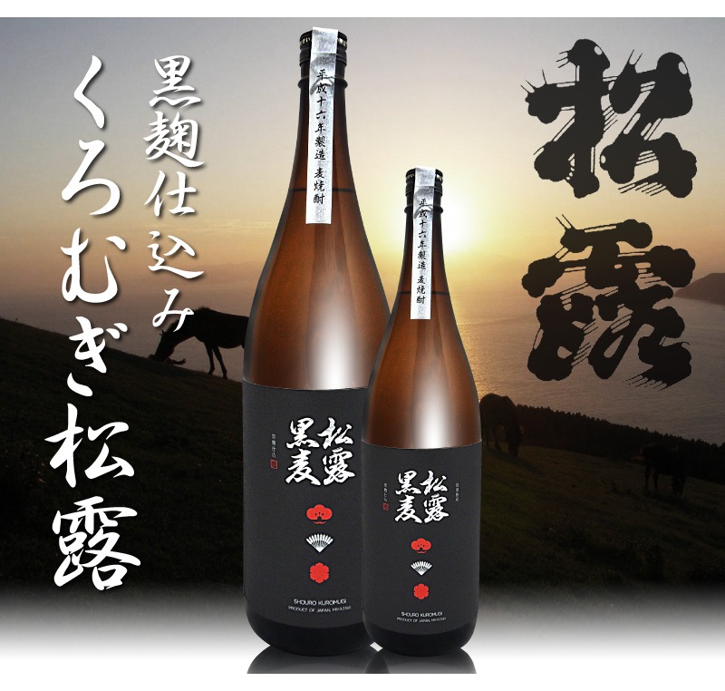 最大の割引 常圧閻魔 黒麹 麦焼酎 常圧蒸留 25度 720ml 1 2 materialworldblog.com