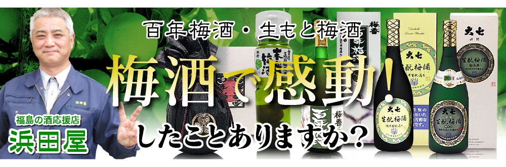 梅酒) 栄川 UMESAKE 8年熟成 日本酒漬け梅酒 300ml 箱無 常温品 栄川