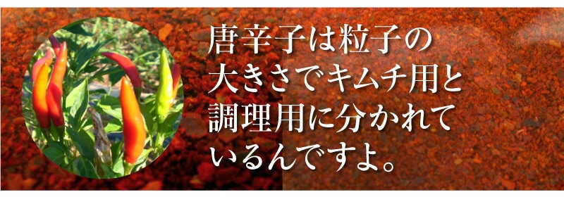 甘みもある美味しいキムチ用唐辛子（とうがらし・1kg）最高級ランク 日本加工品は○韓国風味のキムチALLの専門店「浜田屋」がNo.1電話問合せOK