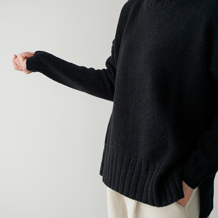 evam eva エヴァムエヴァ ニット renew-wool turtleneck リニュー