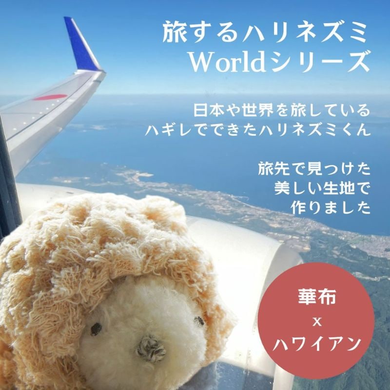 旅するハリネズミ　worldシリーズ