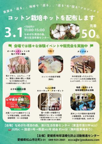 コットン栽培キットを配布します