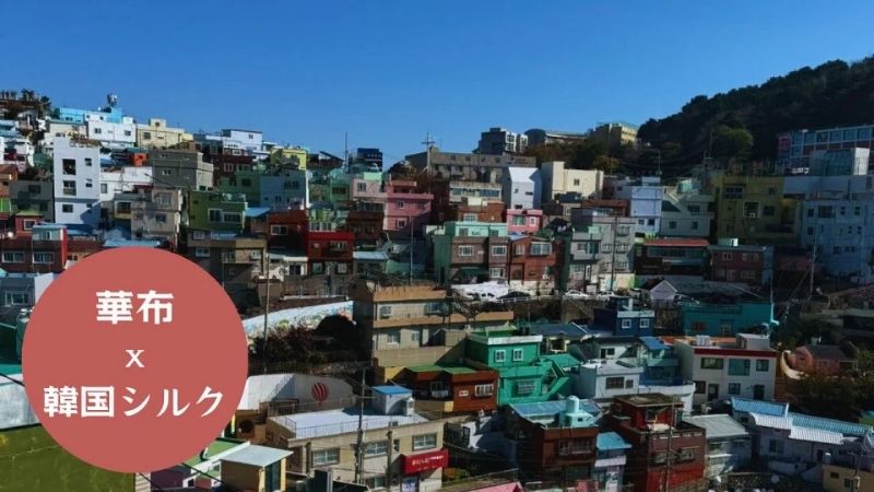 旅するハリネズミ韓国編