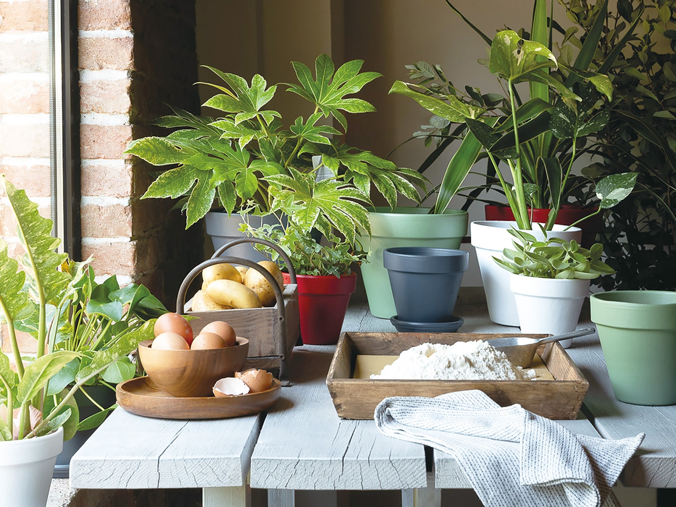 Deroma,�ǥ�����