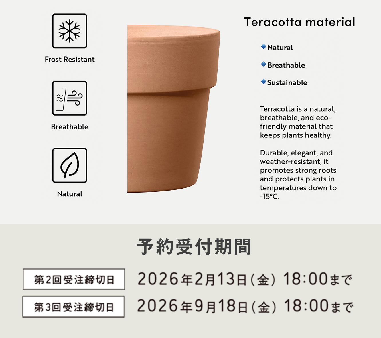 Deroma 2026 ��������������