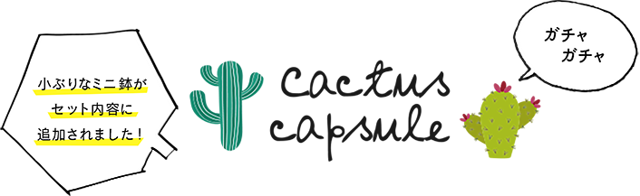 cactus_capsule