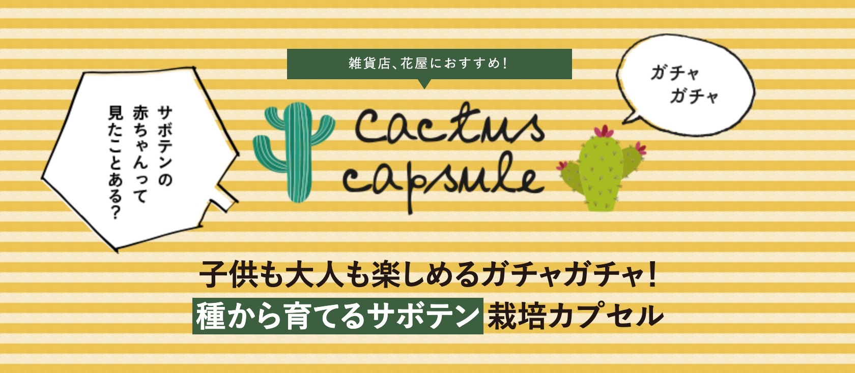 サボテン栽培カプセル Do Earth Green卸専用web発注サイト