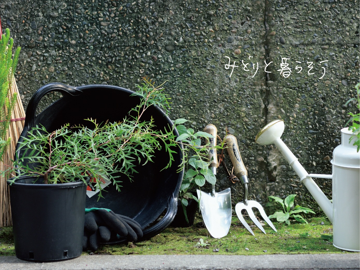 Do Earth Green