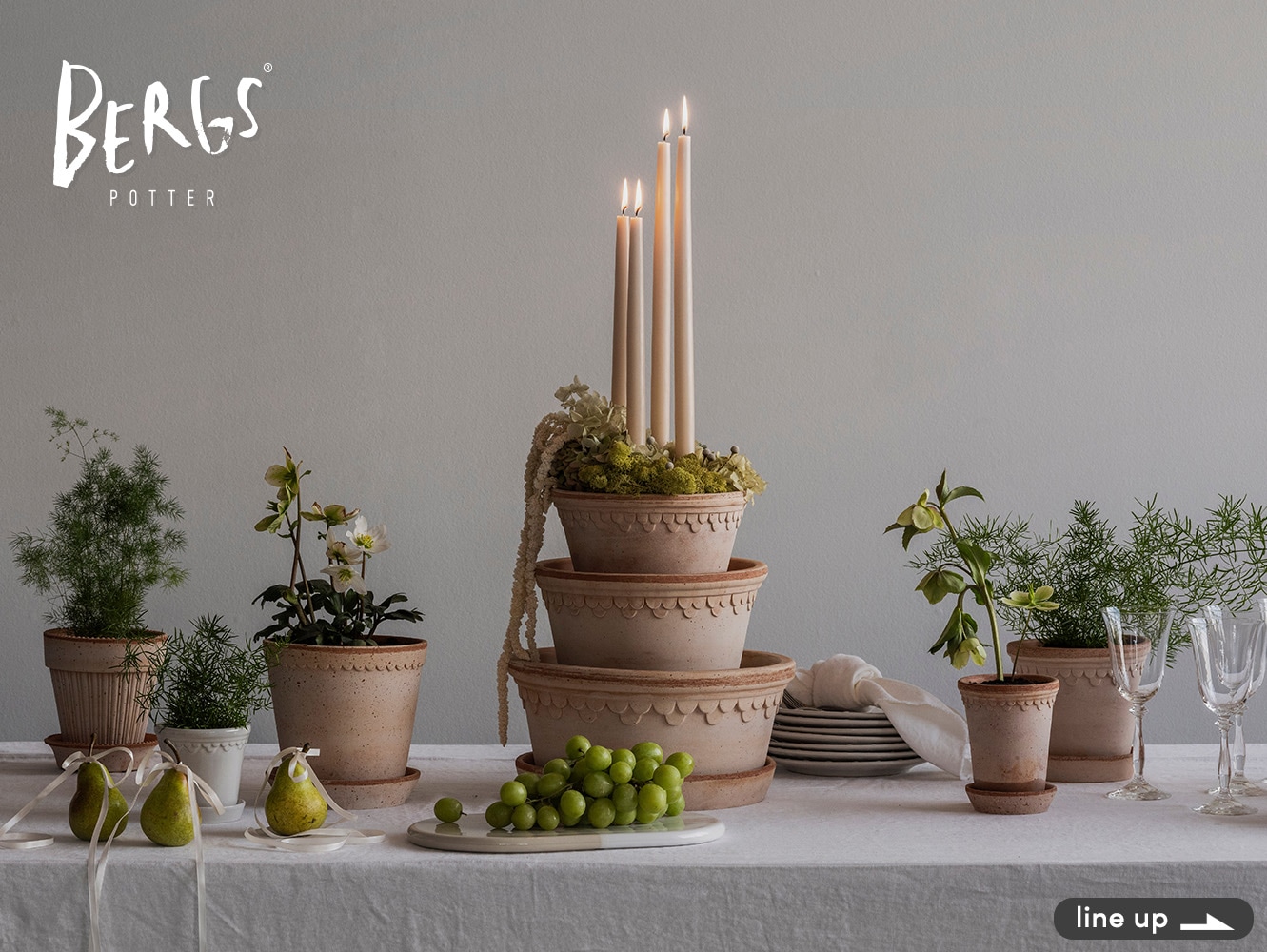 ボタニカルラボページ ZEBRA（ゼブラ） シャーボX CL5 リフィル付 フルセット SB15 多機能