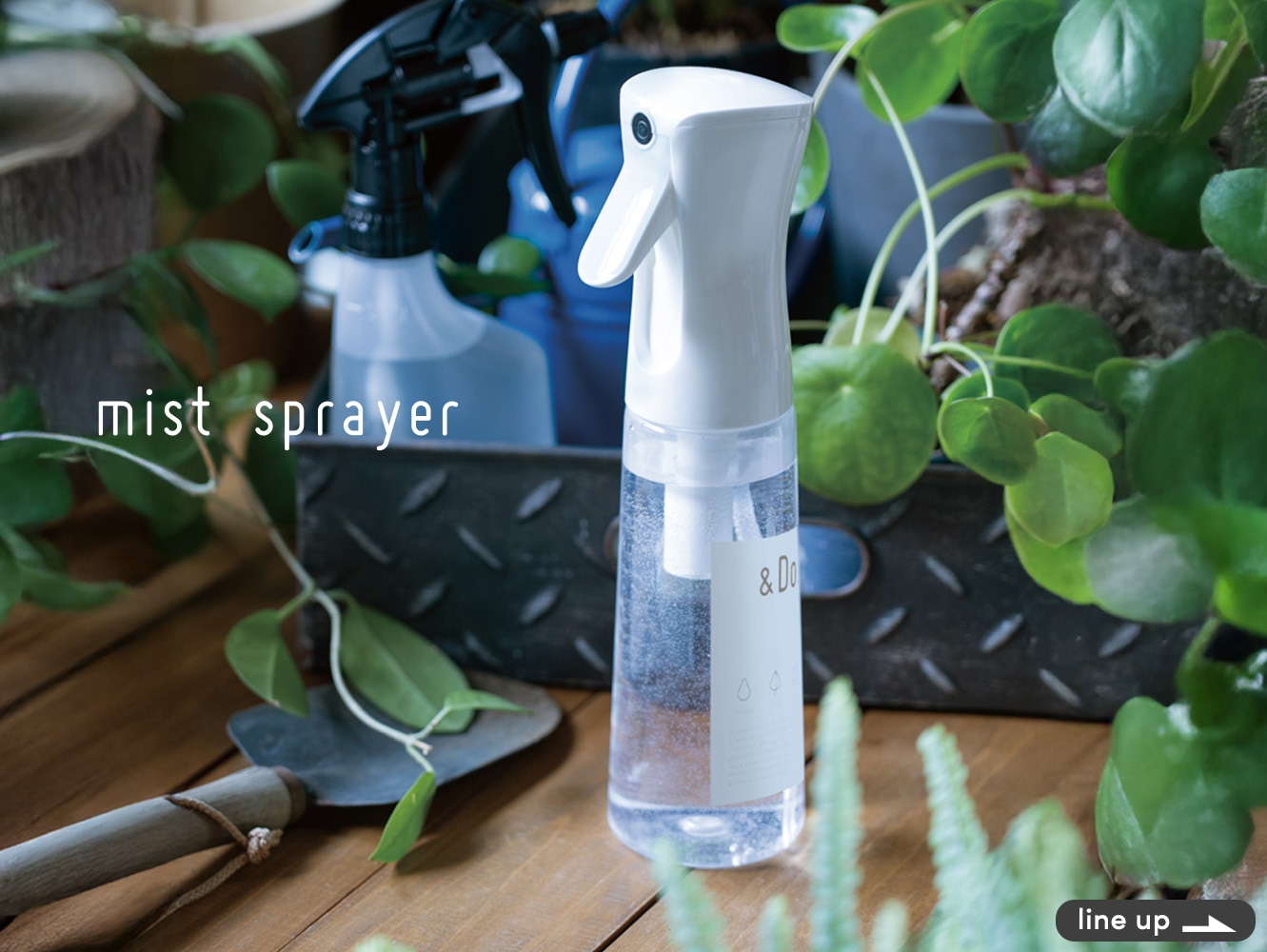 �ߥ��ȥ��ץ졼,�ե����󥹥ץ졼,̸