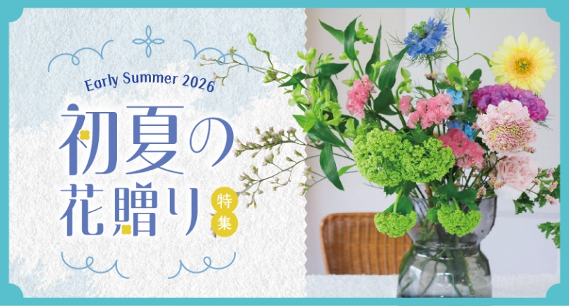 初夏の花贈り
