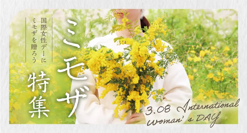 ミモザ特集～3月8日・国際女性DAY～