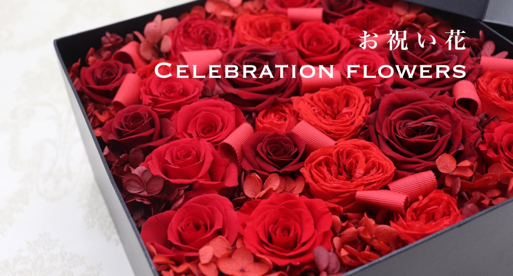お祝い花｜Celebration flowers